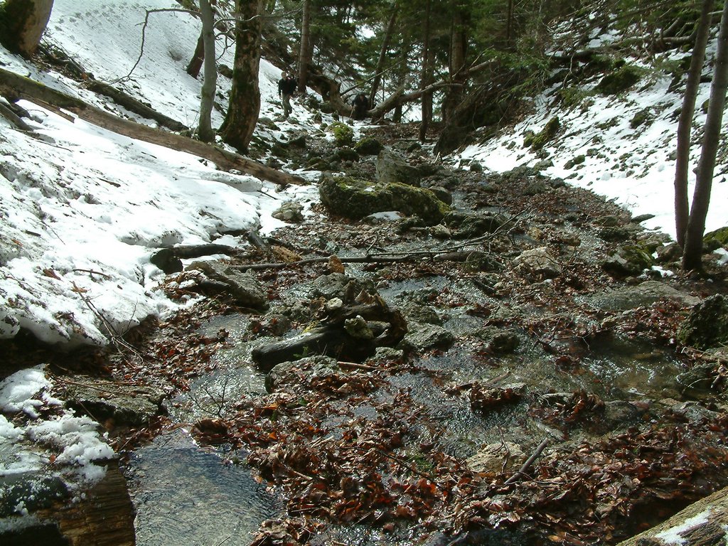 DSCF0052.JPG