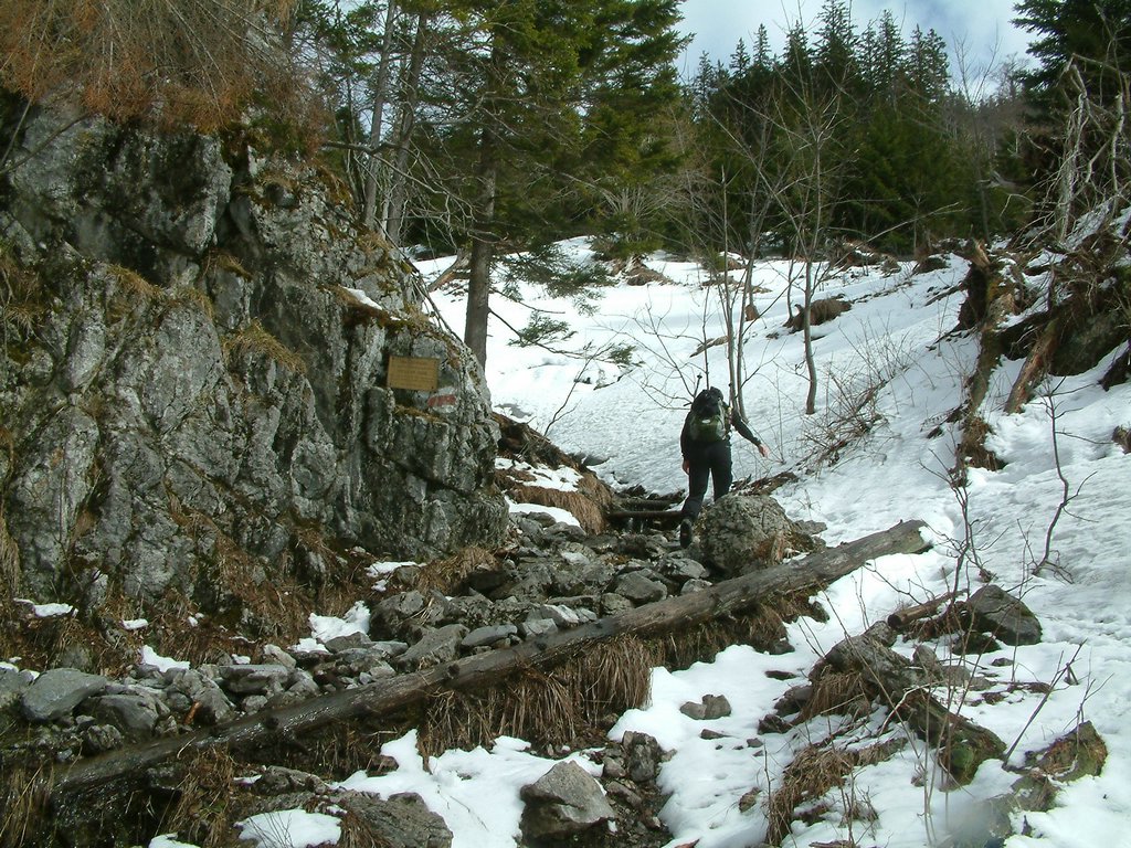 DSCF0069.JPG