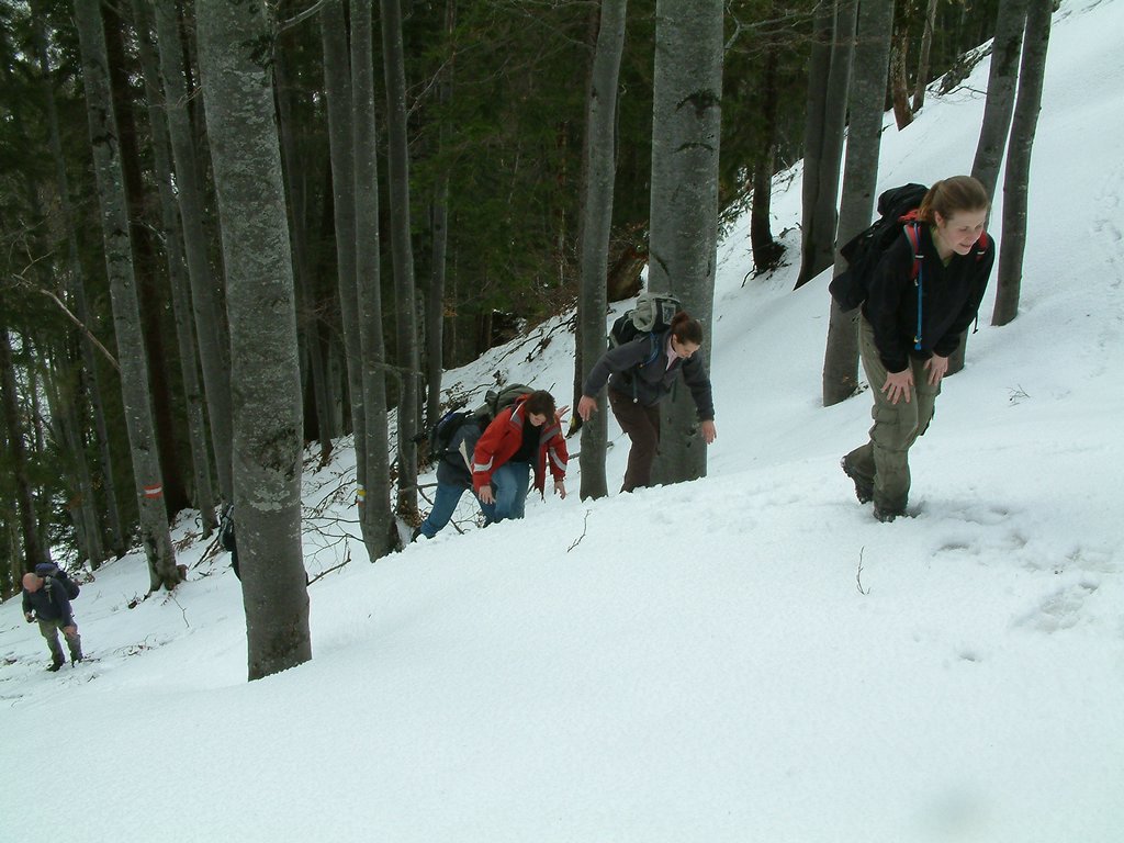 DSCF0071.JPG