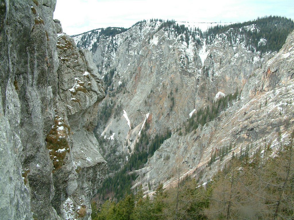 DSCF0081.JPG
