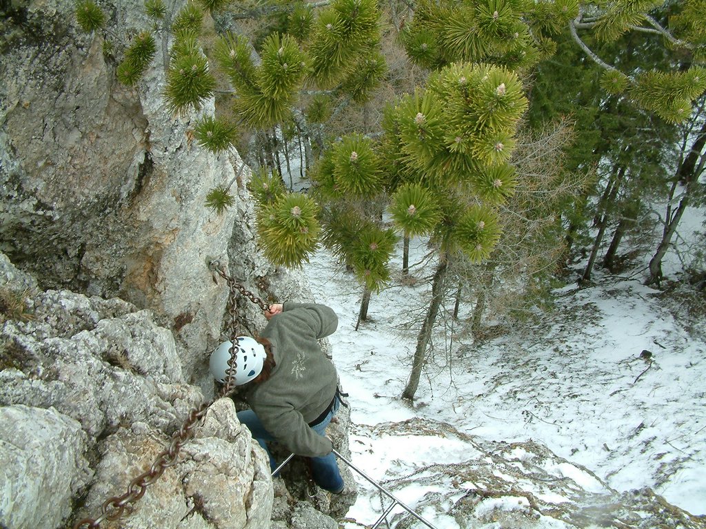 DSCF0082.JPG