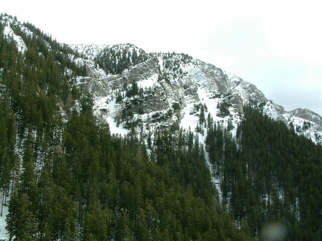 DSCF0083.JPG