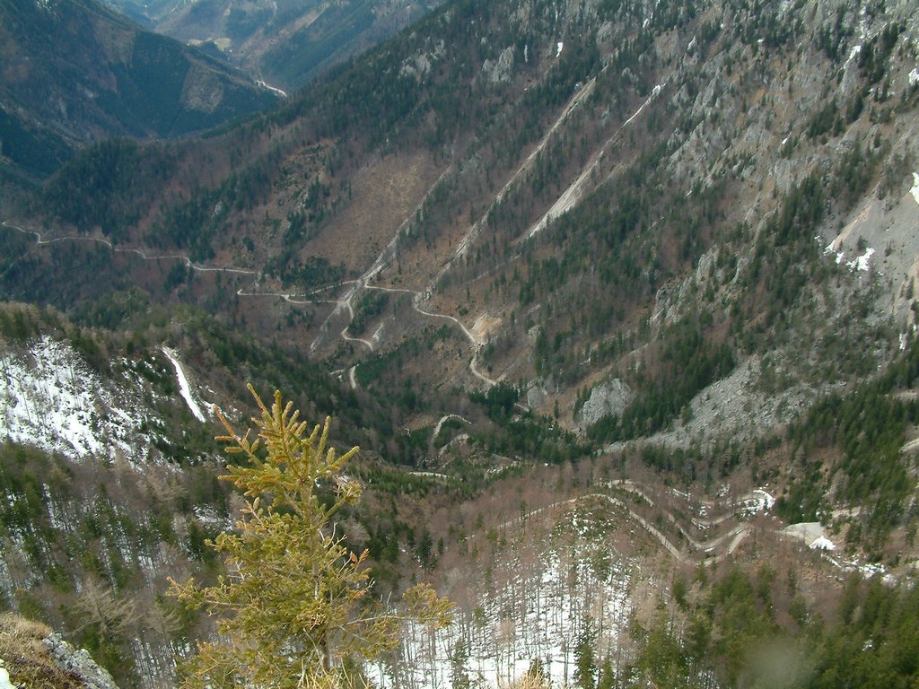 DSCF0089.JPG