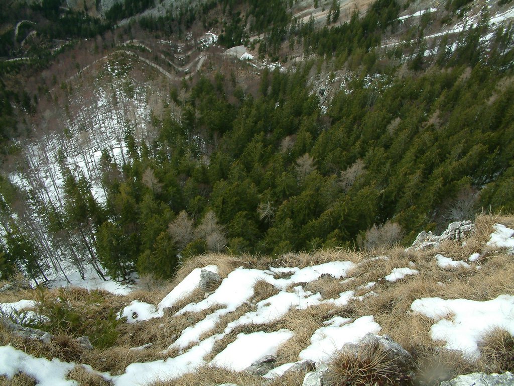 DSCF0090.JPG