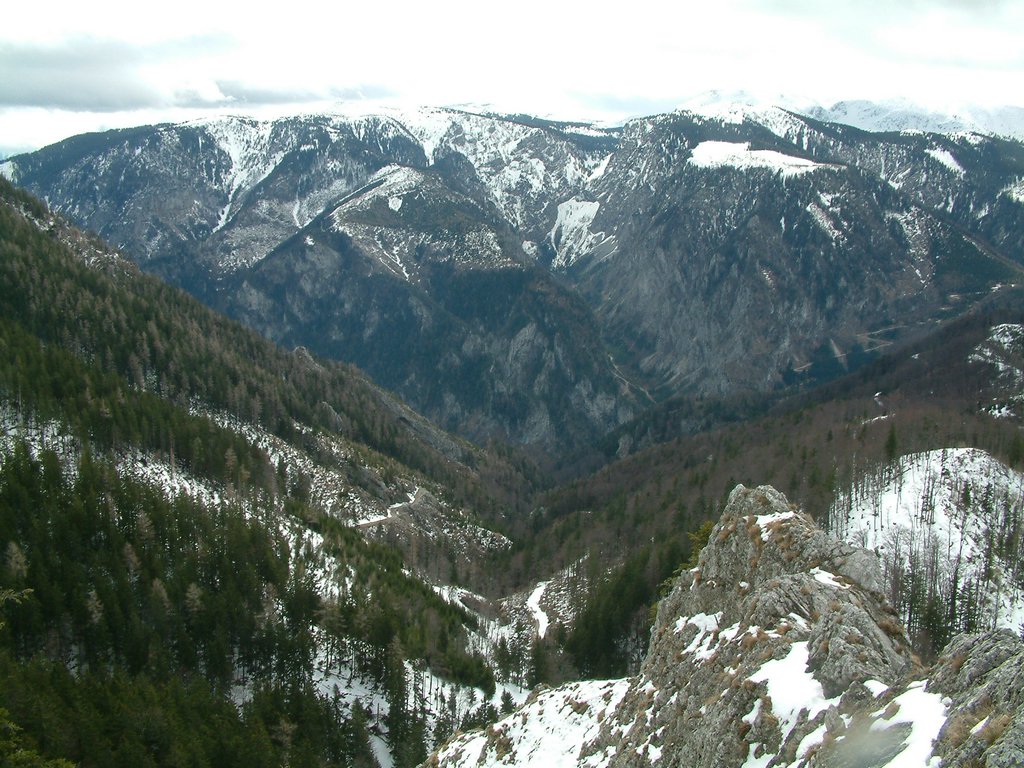 DSCF0091.JPG