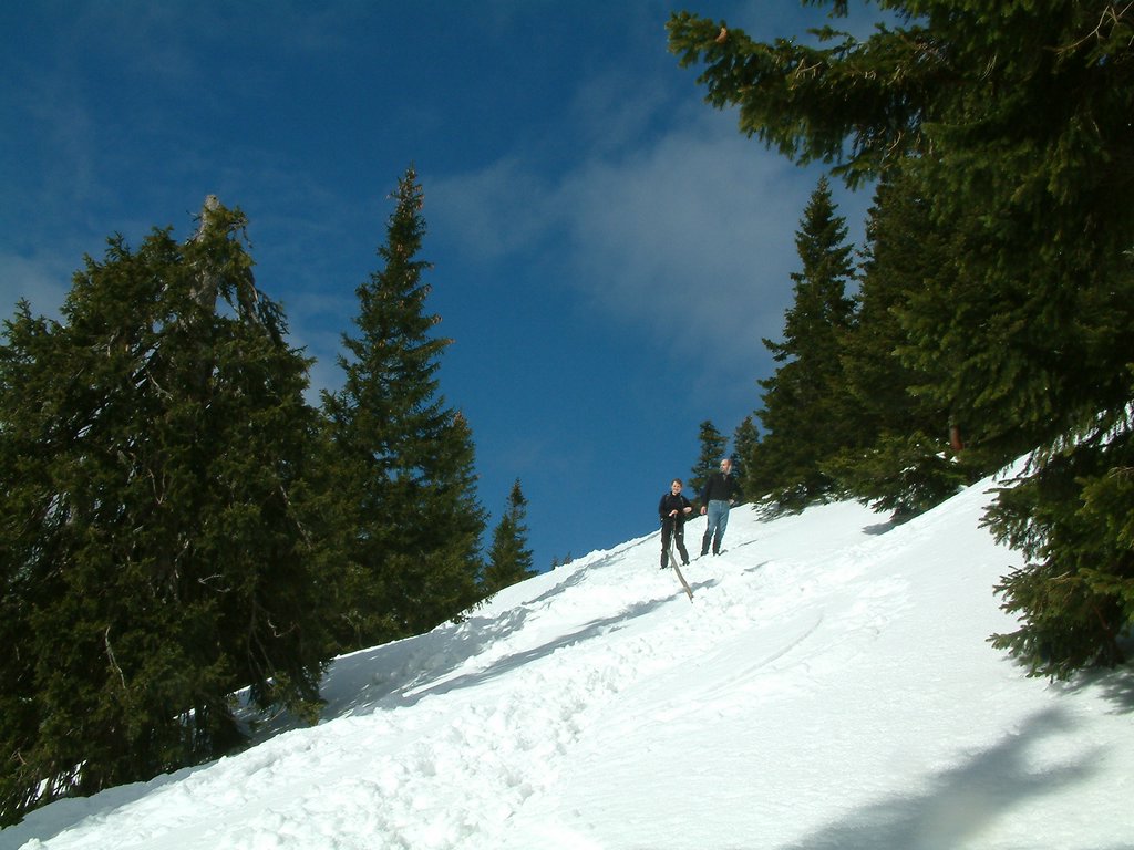 DSCF0098.JPG
