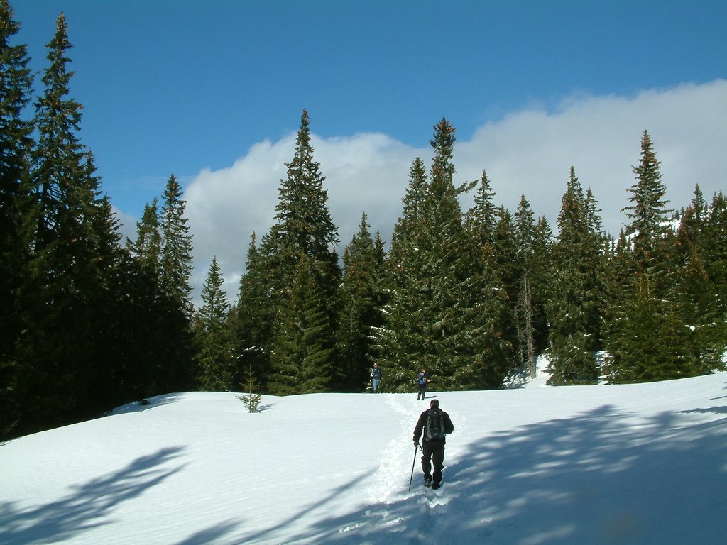 DSCF0108.JPG