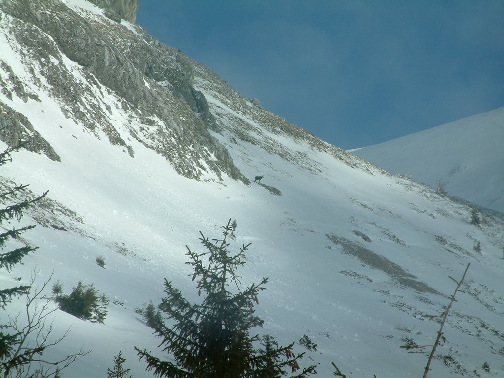 DSCF0112.JPG