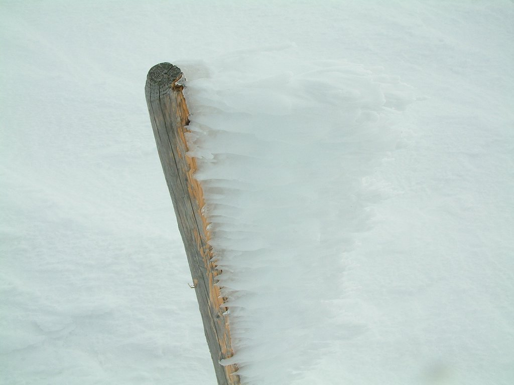 DSCF0122.JPG