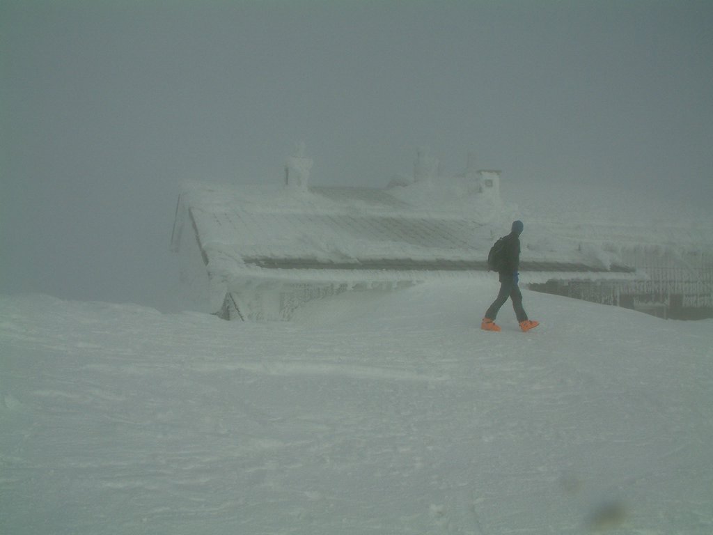 DSCF0124.JPG