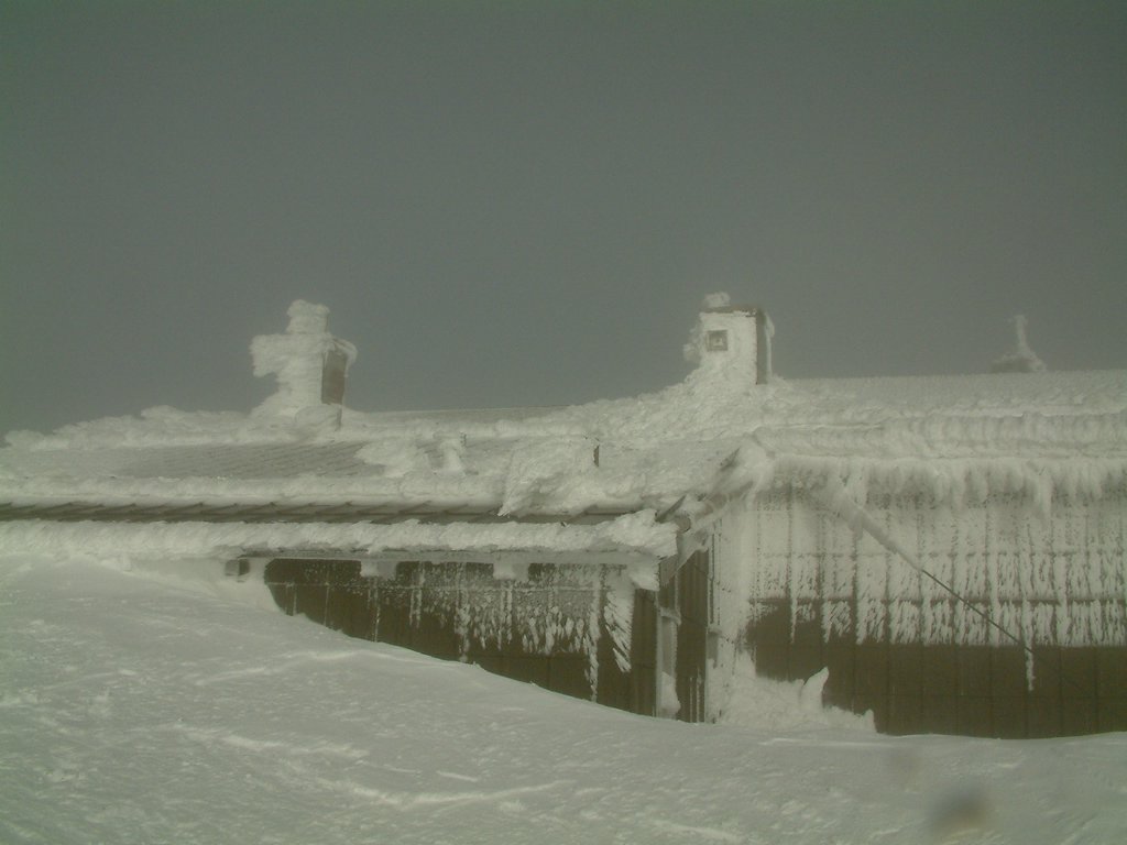 DSCF0125.JPG
