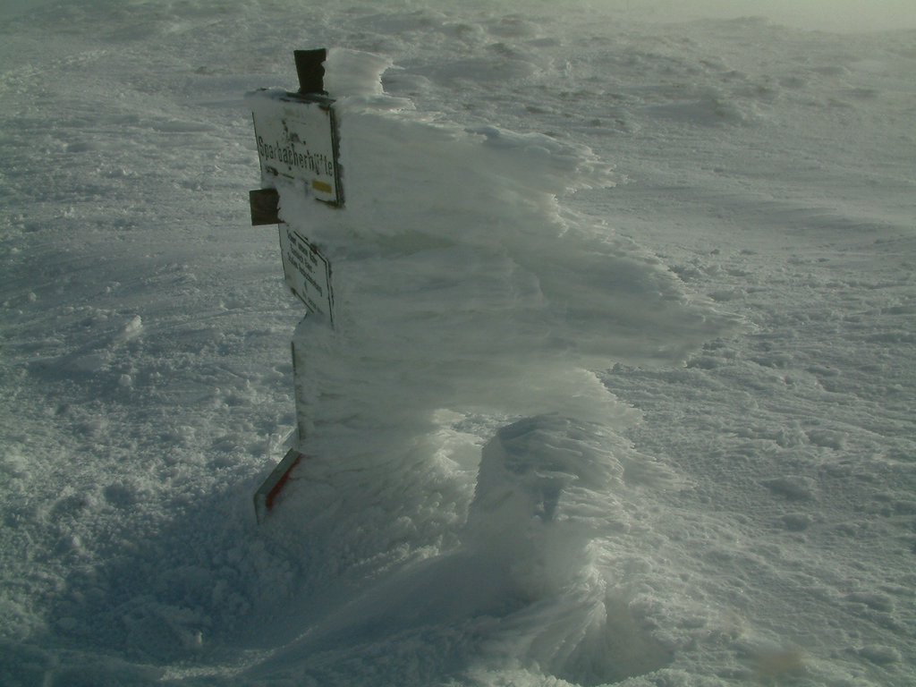 DSCF0126.JPG