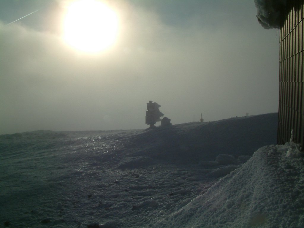 DSCF0130.JPG