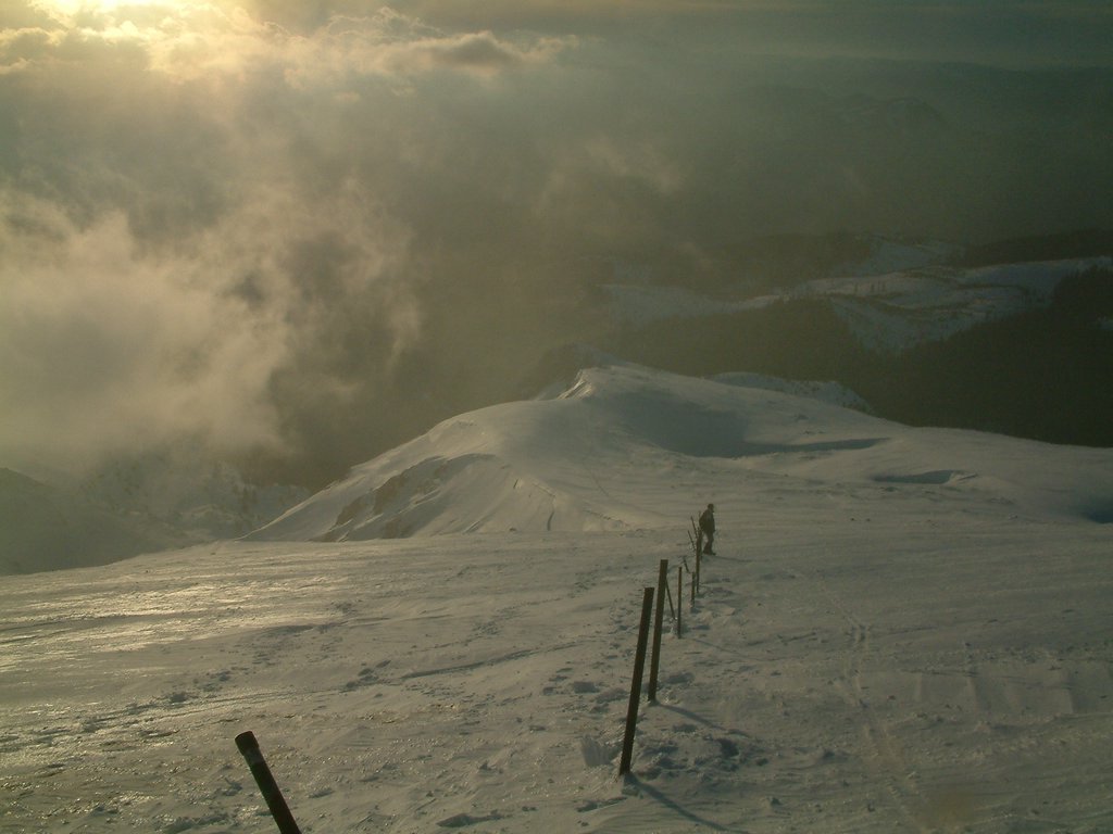 DSCF0134.JPG