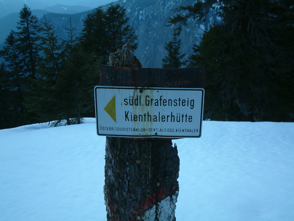 DSCF0142.JPG