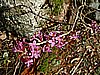DSCF0036.JPG