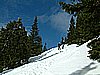 DSCF0098.JPG