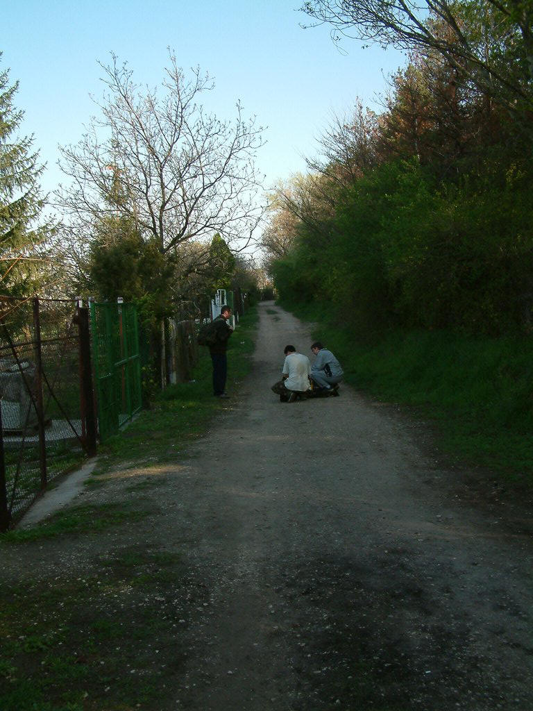 DSCF0007.JPG