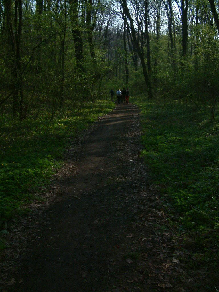 DSCF0009.JPG