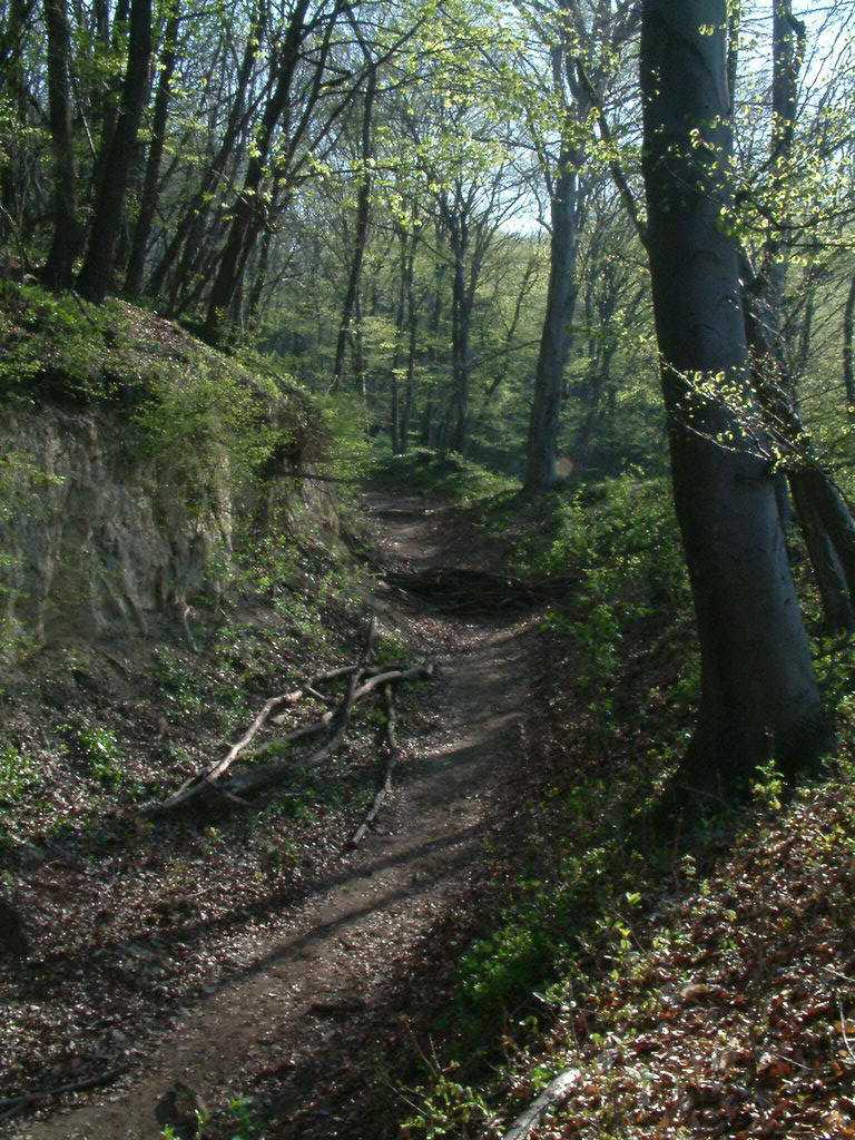 DSCF0022.JPG