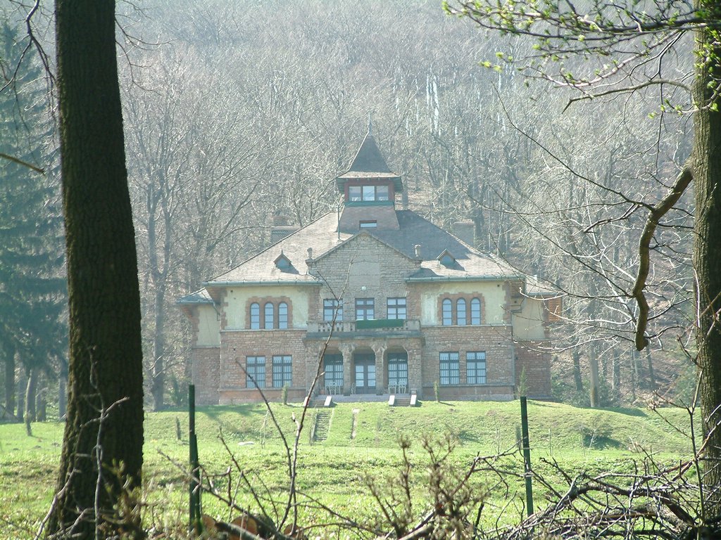 DSCF0042.JPG