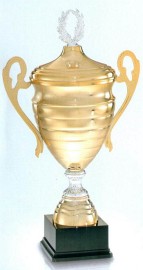 vissza