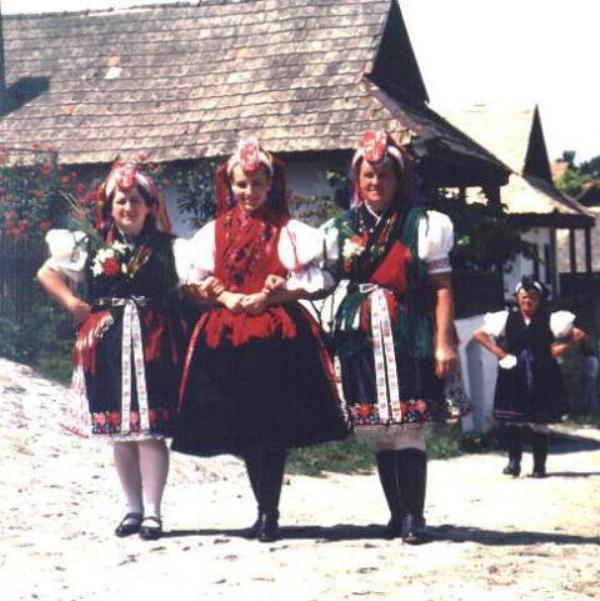 holloko7.jpg - U-Lead Systems, Inc.