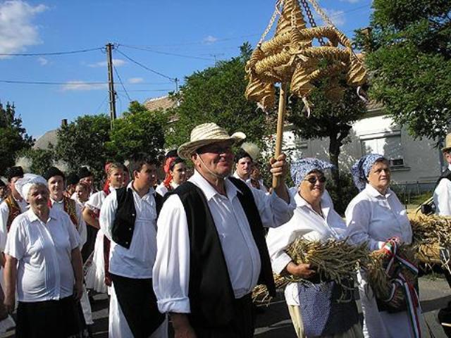 szil1.rabakoz.jpg - CREATOR: gd-jpeg v1.0 (using IJG JPEG v62), default quality