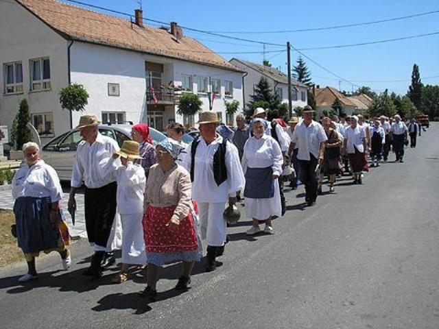 szil2.rabakoz.jpg - CREATOR: gd-jpeg v1.0 (using IJG JPEG v62), default quality