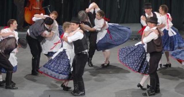 vajdasag.sovirag.egyuttes.jpg - CREATOR: gd-jpeg v1.0 (using IJG JPEG v62), default quality