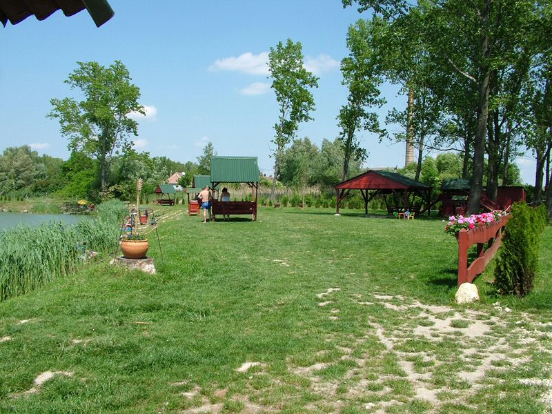DSCF8016.jpg