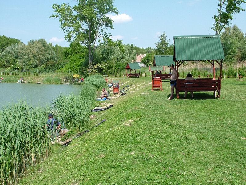 DSCF8019.jpg