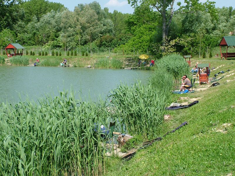 DSCF8020.jpg
