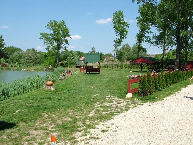DSCF8021.jpg