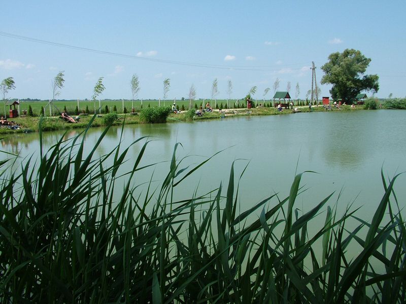 DSCF8027.jpg