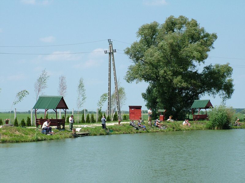 DSCF8028.jpg