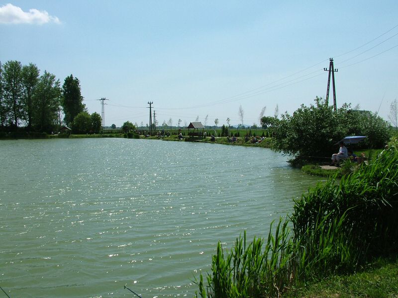 DSCF8041.jpg