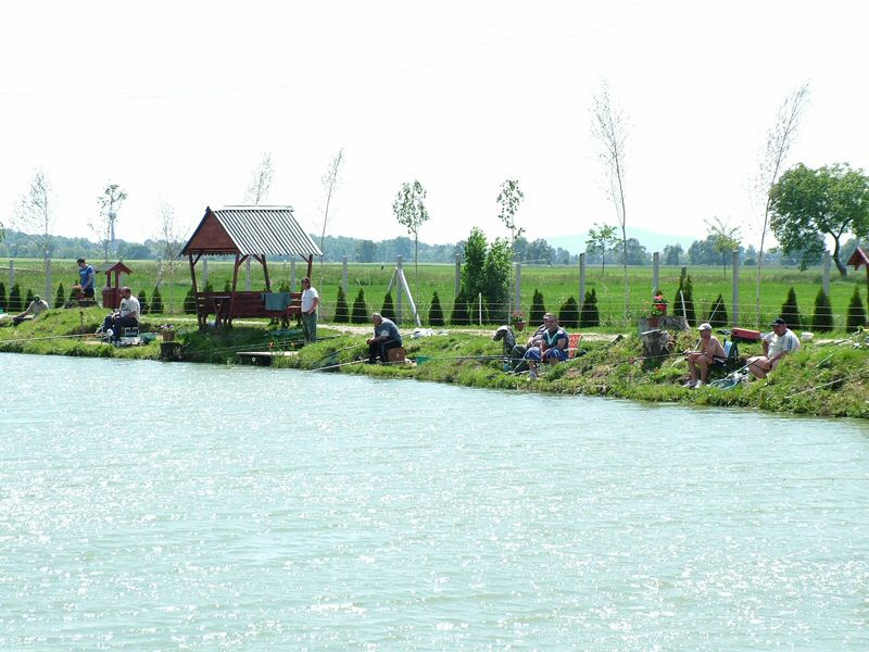 DSCF8042.jpg