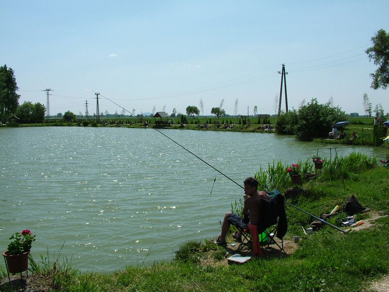 DSCF8043.jpg