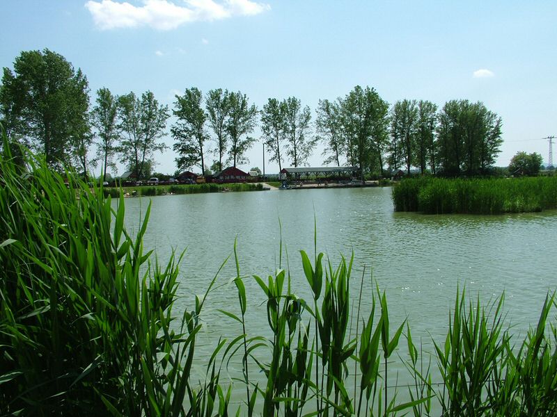 DSCF8045.jpg
