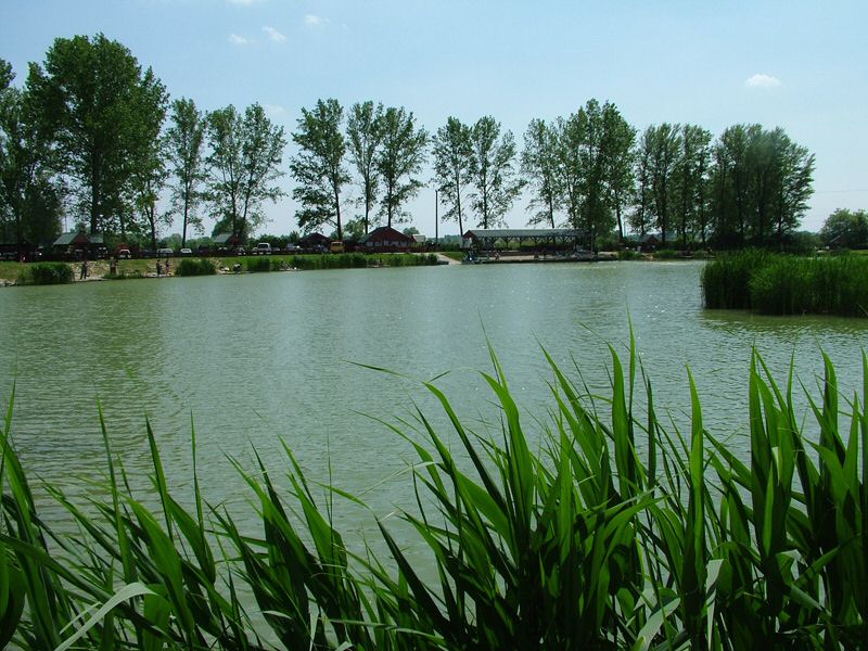 DSCF8047.jpg