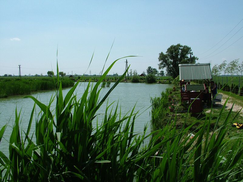 DSCF8048.jpg