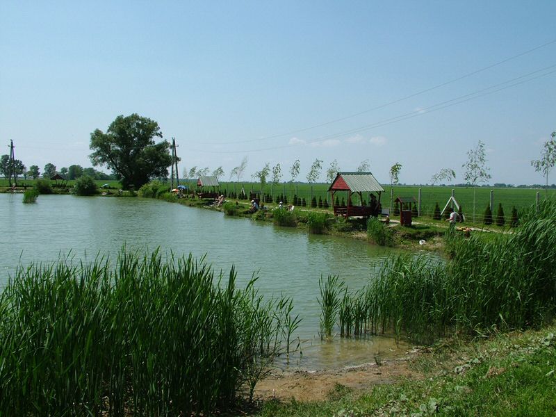 DSCF8049.jpg