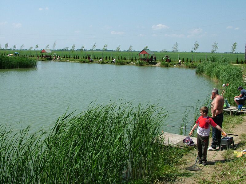 DSCF8050.jpg