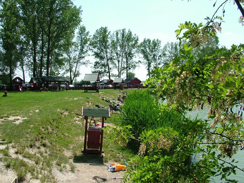 DSCF8051.jpg