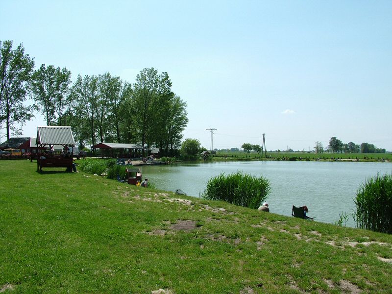 DSCF8053.jpg