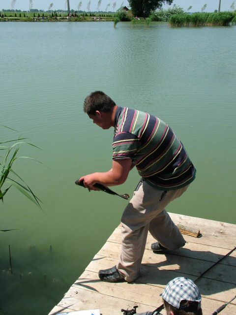 DSCF8064.jpg