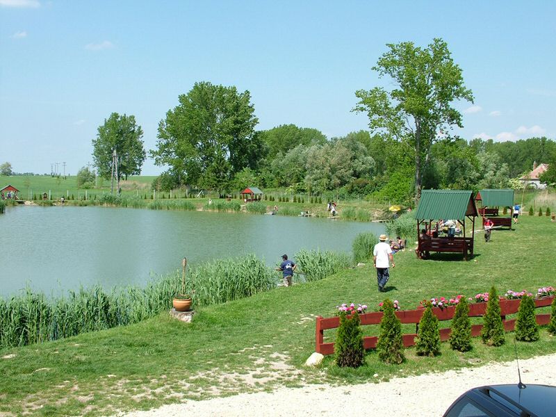 DSCF8068.jpg