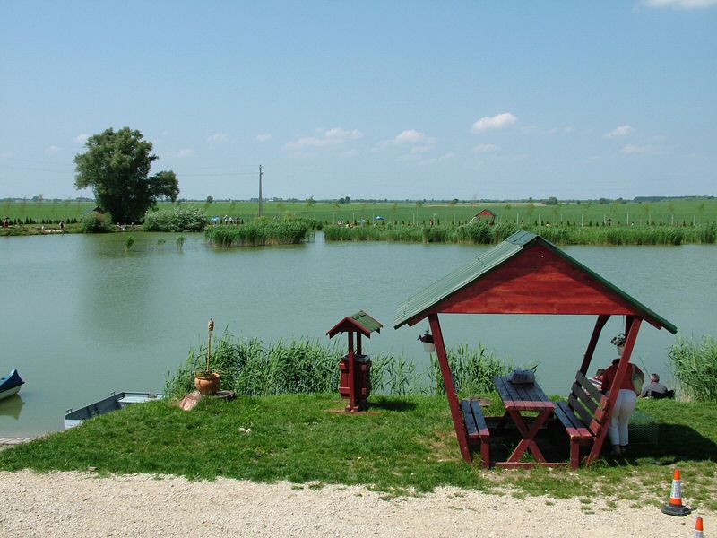 DSCF8069.jpg