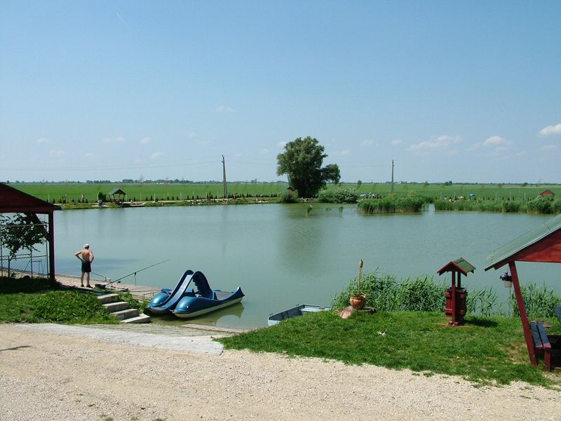 DSCF8070.jpg